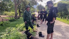 Vụ người phụ nữ tử vong trên giường ngủ: Xuyên đêm truy bắt nghi phạm