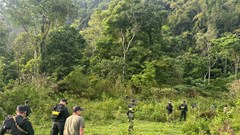 Vụ người phụ nữ tử vong trên giường ngủ: Nghi phạm tử vong trong lán rẫy