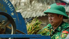 Mùa vàng nơi biên giới