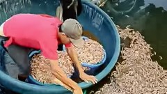 Quảng Trị: Khi sinh kế bị đánh úp trong đêm