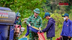 Khi cây lúa bén rễ giữa đại ngàn