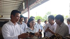 Quảng Trị: Khơi thông nguồn lực, tạo sinh kế bền vững cho người dân