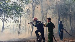 Quảng Trị: Liên tiếp xảy ra cháy rừng