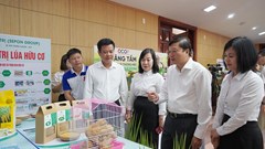 Hướng đi tất yếu để Quảng Trị nâng tầm giá trị nông sản