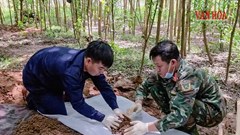 Quảng Trị liên tiếp phát hiện, quy tập hài cốt liệt sĩ
