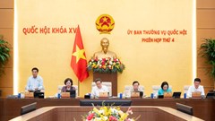 Siết chặt quản lý tàu thuyền du lịch nhằm hạn chế tối đa thiệt hại về người và tài sản