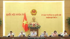Kiến tạo thị trường lao động, giảm thiểu rủi ro bị lừa đảo qua mạng