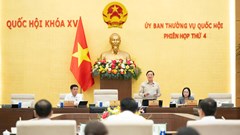 Bảo đảm xử lý tội phạm vừa nghiêm minh, vừa nhân văn, thuyết phục