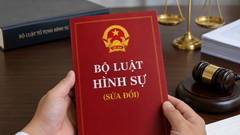 Dự án Bộ luật Hình sự (sửa đổi): Hoàn thiện cơ sở pháp lý phòng, chống tội phạm