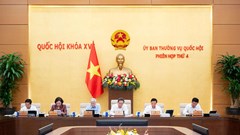 Tạo lập khuôn khổ pháp lý ổn định, đột phá và khả thi thúc đẩy phát triển TP.HCM, đô thị đặc biệt