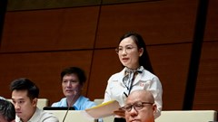 Đề xuất cấm sử dụng hòa giải đối với các vụ việc bạo lực gia đình, xâm hại trẻ em