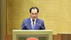 Trình Quốc hội định hướng chính sách sửa đổi Luật Đất đai năm 2024