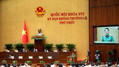 Trình Quốc hội dự án Bộ luật Hình sự (sửa đổi)