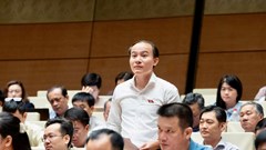 Đại biểu Quốc hội: Một quyết định sai về lấn biển có thể phải trả giá bằng cả một di sản