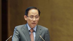 Phát huy vai trò của kiều bào trong gìn giữ bản sắc và quảng bá văn hóa Việt Nam