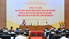 Không miễn trừ trách nhiệm với hành vi cố ý vi phạm, lừa đảo, trục lợi trong chứng khoán