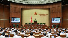 Hoàn thiện chính sách, tạo động lực cho doanh nghiệp nhỏ và vừa
