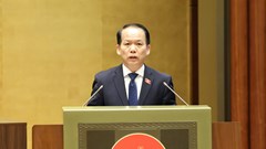 Ngăn chặn triệt để tình trạng “cò mồi”, bổ sung chế tài với hành vi “bỏ cọc” và trục lợi đấu giá