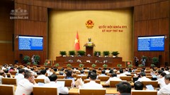 Quốc hội thảo luận về dự thảo Bộ luật Tố tụng Hình sự (sửa đổi)