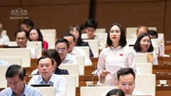 ĐBQH đề nghị rà soát hiệu quả sử dụng thiết chế văn hóa, phân bổ nguồn lực theo nhu cầu