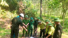 Hà Tĩnh căng mình giữ rừng giữa nắng nóng kỷ lục
