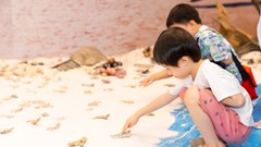 1.001 rùa biển bằng gốm được trưng bày tại triển lãm “Phiêu”