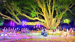 Đặc sắc chương trình Vũ điệu Ban Mê