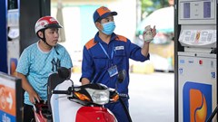 Phương tiện nào phù hợp với xăng sinh học E5, E10?