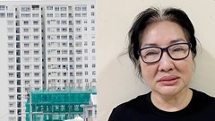 Bà Nguyễn Thị Như Loan được ghi nhận nhiều tình tiết giảm nhẹ