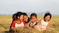 Ngày Dân số Việt Nam