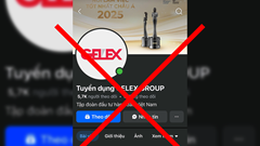 Kiếm tiền tiêu Tết: Người lao động rơi vào ma trận bẫy tuyển dụng online