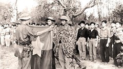 Thành lập Quân Giải phóng miền Nam Việt Nam  