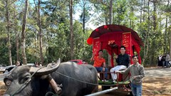 Từ xe trâu kéo đến hướng đi du lịch cộng đồng Măng Đen