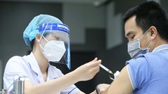 “Lương y như từ mẫu” - ngọn đèn y đức soi sáng hành trình người thầy thuốc