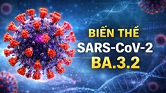 Biến thể Covd-19 “ve sầu” lan rộng toàn cầu, Hà Nội bắt đầu tăng ca