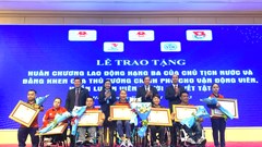 Ngày Người khuyết tật Việt Nam 