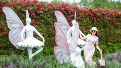 Lên Sa Pa trốn nóng, ngắm thung lũng hoa hồng và chạm đỉnh Fansipan