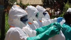 Ebola lan rộng ở Trung Phi, WHO hối thúc phối hợp xuyên biên giới