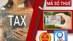 Nhận thu nhập từ nhiều nơi, khi nào có thể phải nộp thêm thuế?