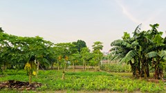 Đại lộ sông Hồng: Những ai phải di dời, được tái định cư ở đâu?