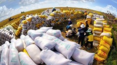 Giá lương thực cao nhất gần bốn năm: Giá đường dẫn đà tăng, cao lương bật 13,7%