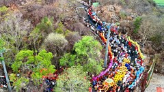 Di sản cộng đồng các dân tộc Việt, Khmer, Chăm, Hoa góp phần phát triển du lịch