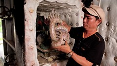 Triển lãm nghệ thuật “Gốm Văn”