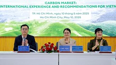 Bàn giải pháp xây dựng thị trường carbon tại Việt Nam