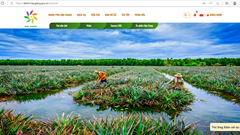 Hậu Giang ra mắt hệ thống du lịch thông minh