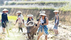 “Show ăn cơm” thành hiện tượng triệu view “chữa lành”