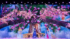 Hoa hậu, á hậu lên sóng chương trình đêm giao thừa