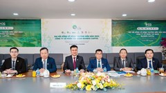Bamboo Capital có tân Chủ tịch, sẽ phát hành cổ phiếu thưởng cho cổ đông