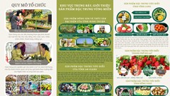 Kích cầu du lịch qua Tuần lễ trái cây “Trên bến dưới thuyền”