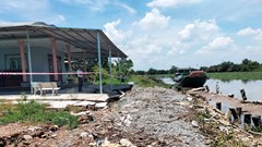  Tuyến đê bờ đông ven sông Vàm Cỏ Tây bị sạt lở nghiêm trọng